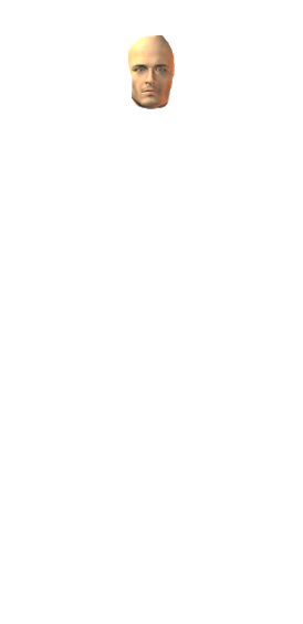 Obličej