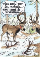 denisfabry
