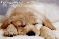 sarcazembova